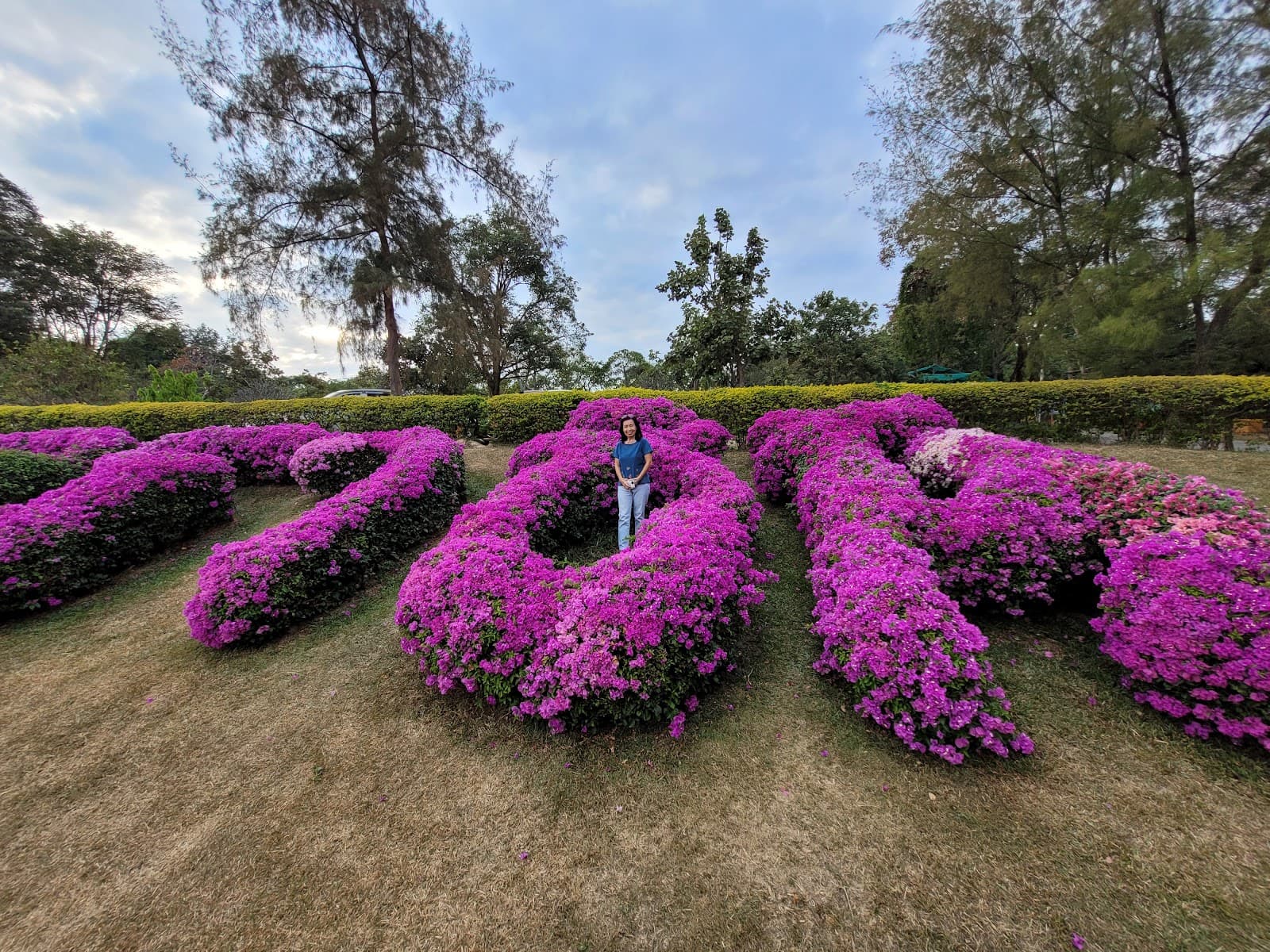 Phu Foi Lom Forest Park - Image 1