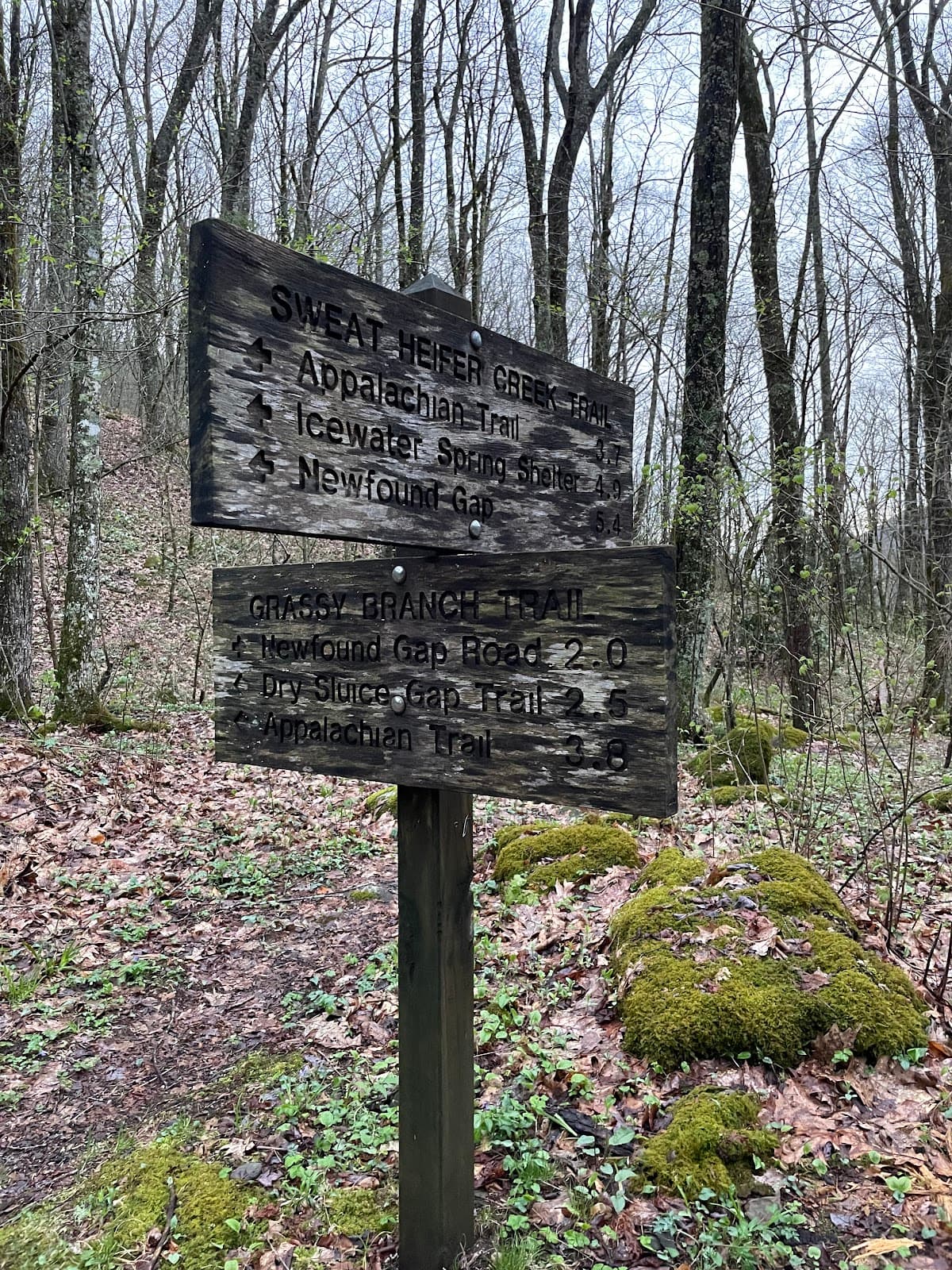 Kephart Prong Trail - Image 1