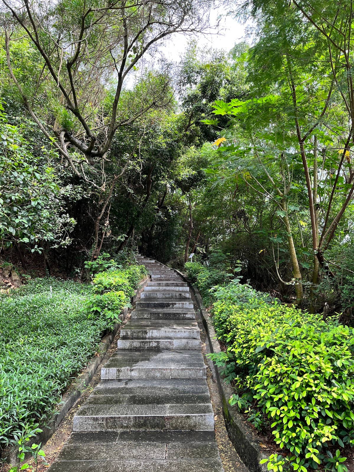 Gongbei Phoenix Valley Descent