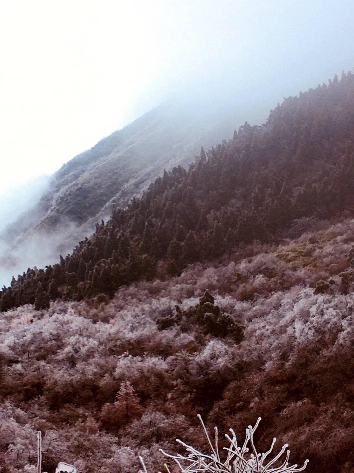 Vertical photo