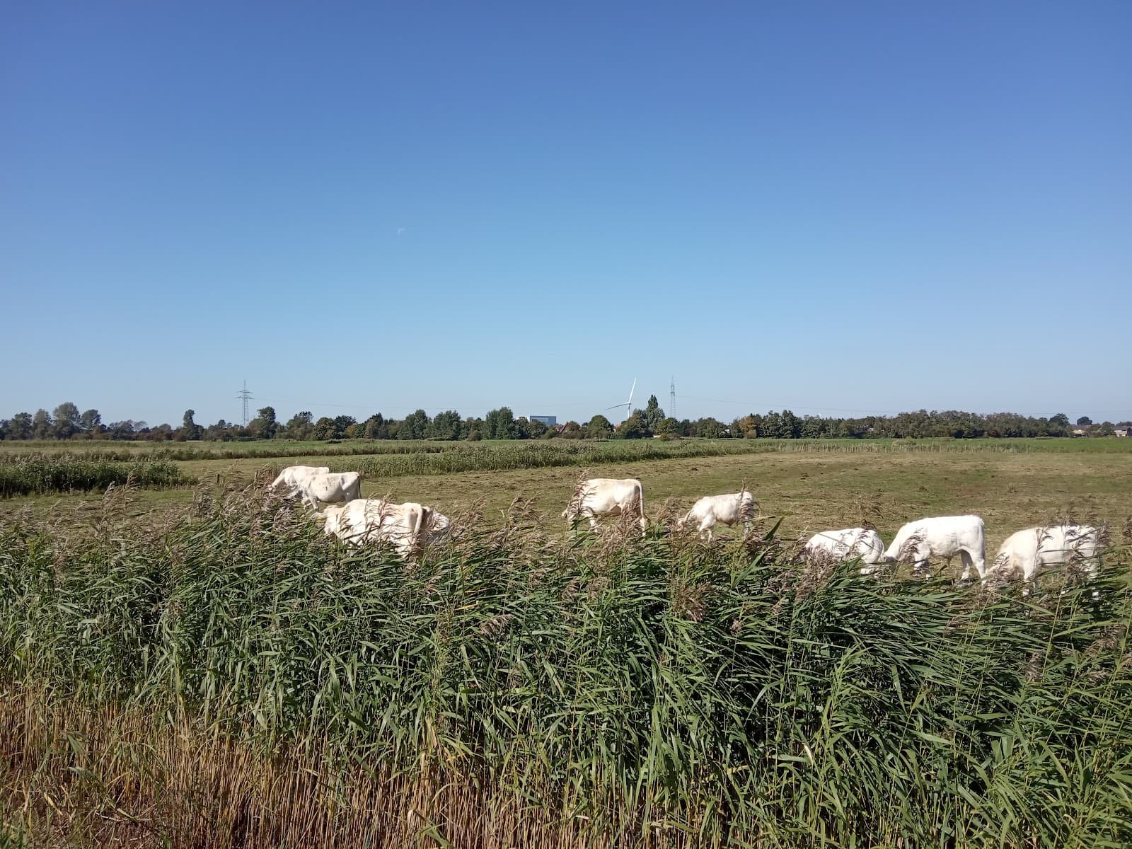 Wulsdorf Bremerhaven - Image 1