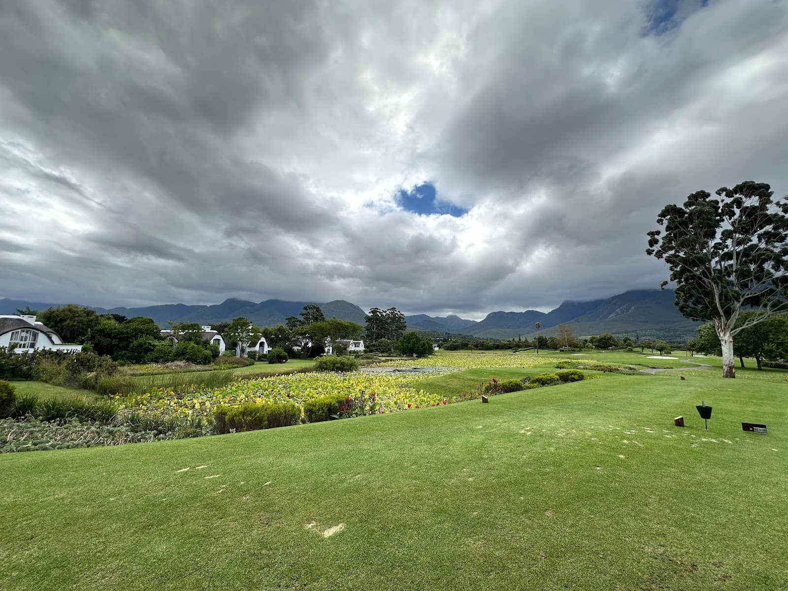 Tranquil Garden Route Setting