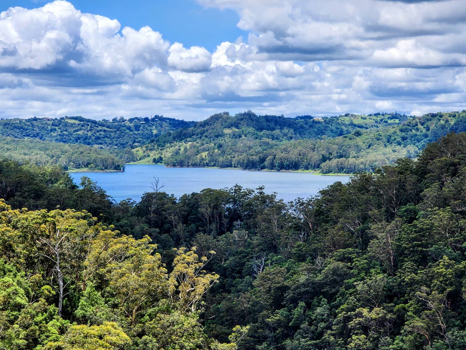 Picnic by Lake Baroon