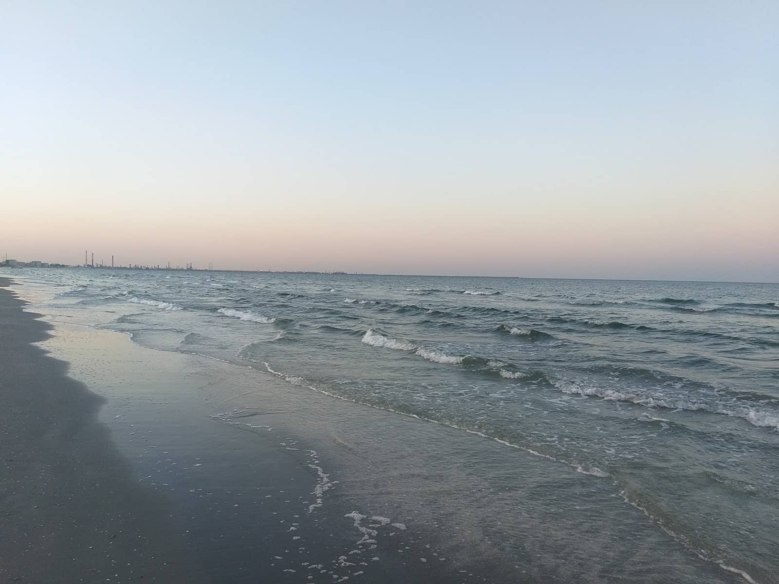 Seashell Treasures