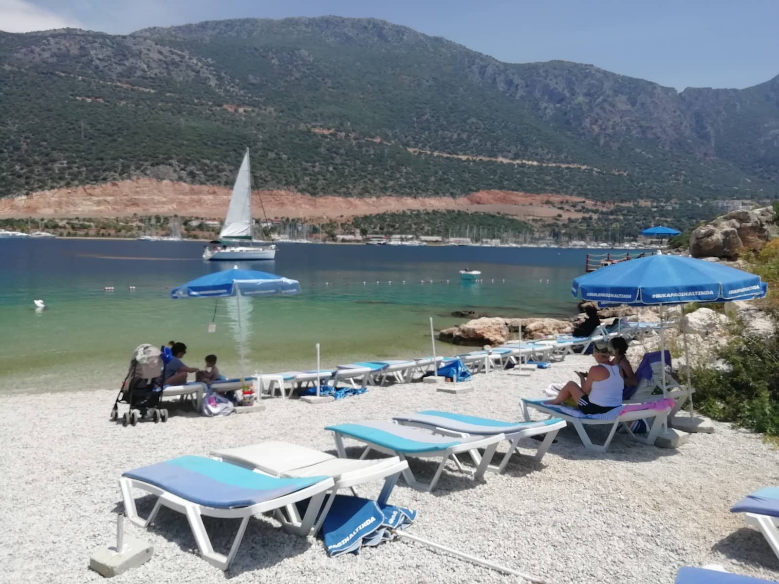 Scenic Marina Views