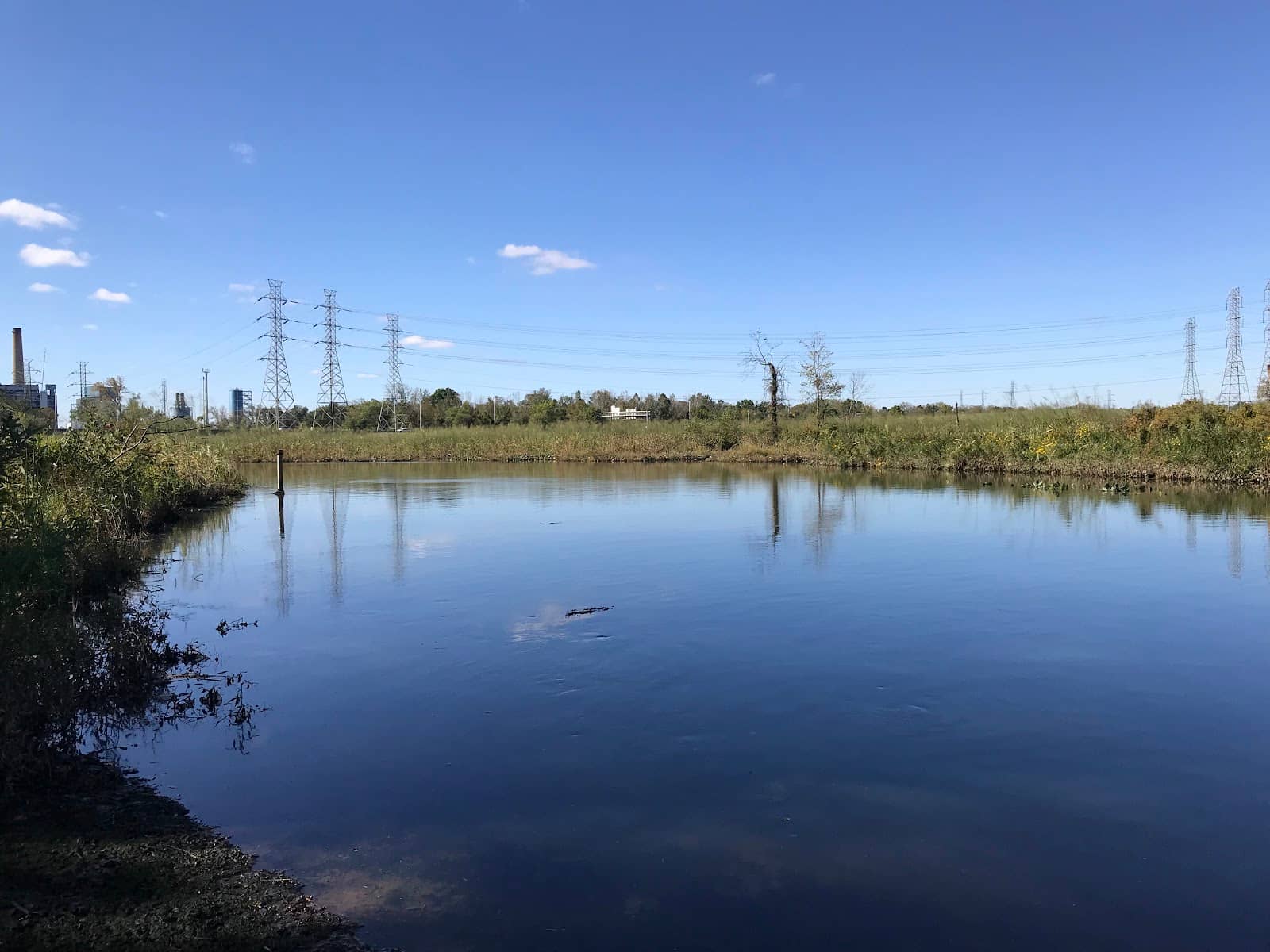 Interactive Exhibits