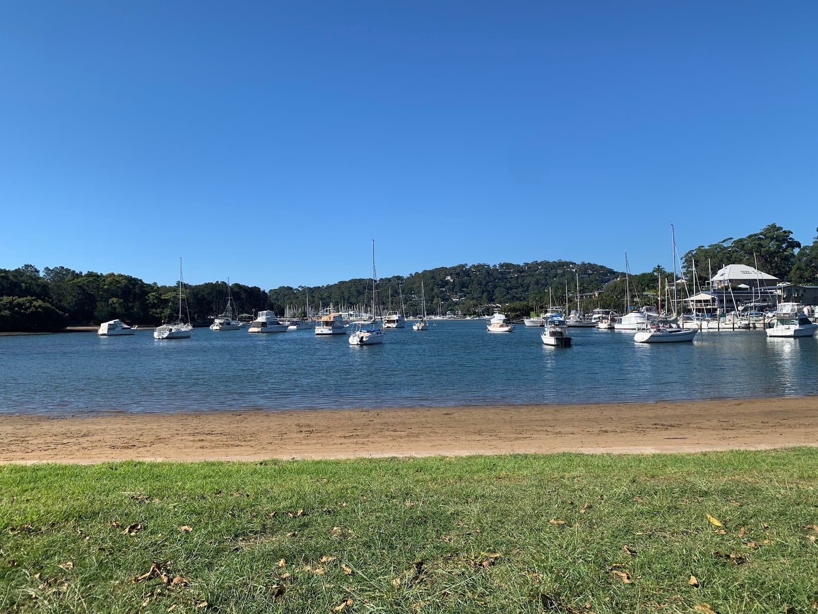 Winnererremy Bay (Flying Fox Park) - Image 1