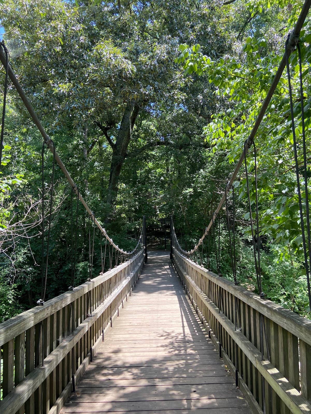 Playground & Ninja Warrior Area