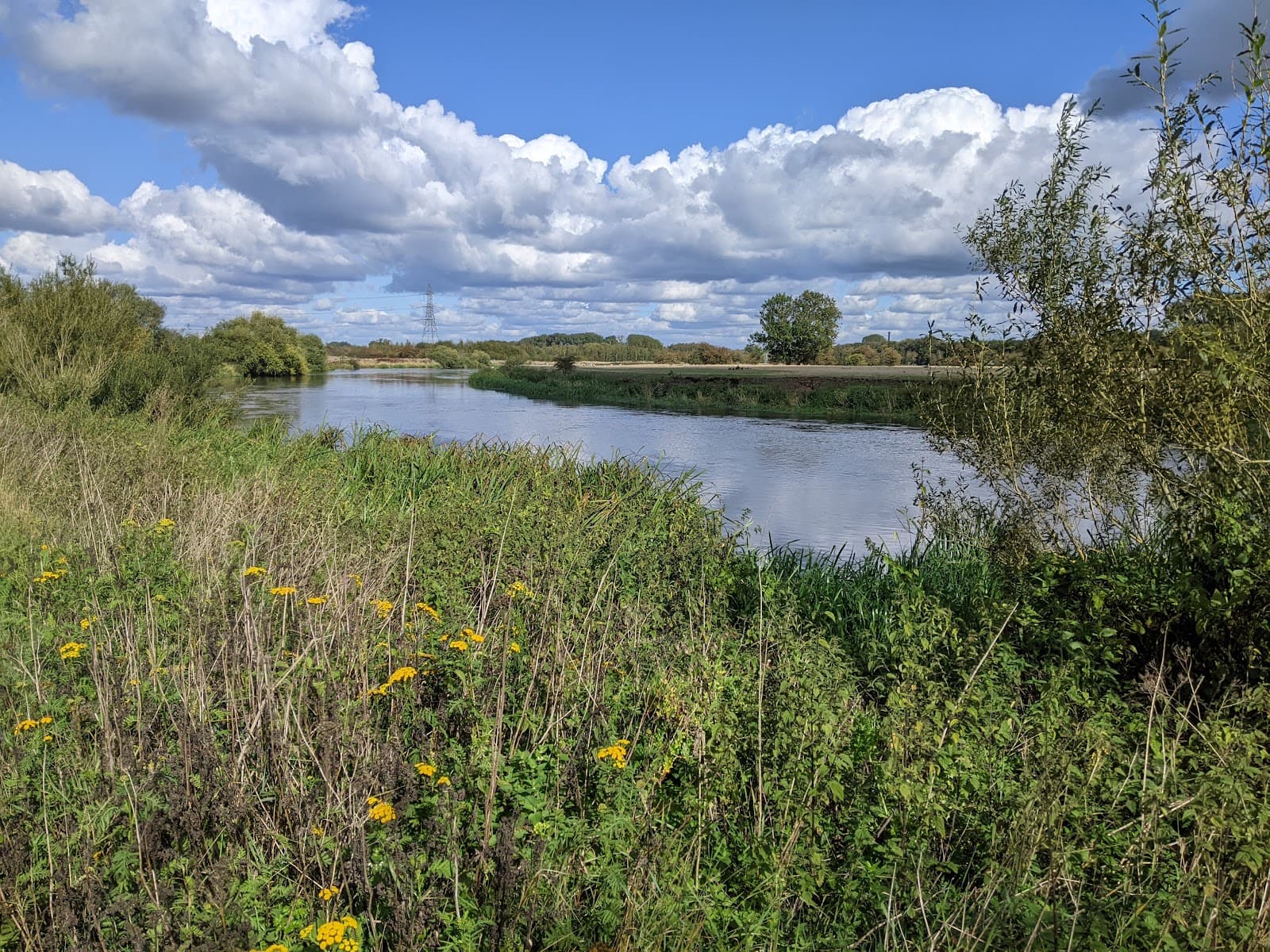 Tucklesholme Nature Reserve - Image 1