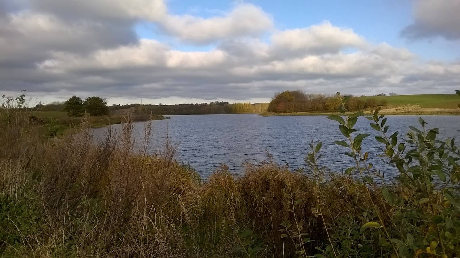 Lakeside Walking Trails