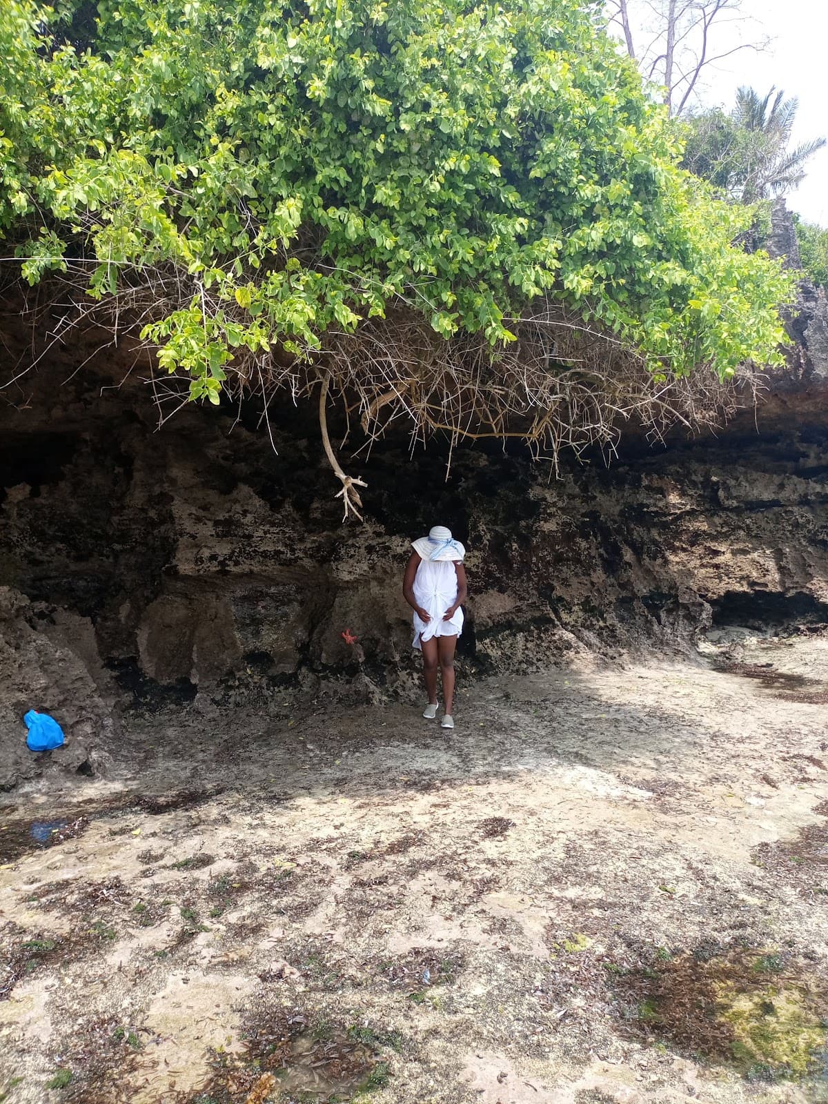 Tiwi Beach - Image 1