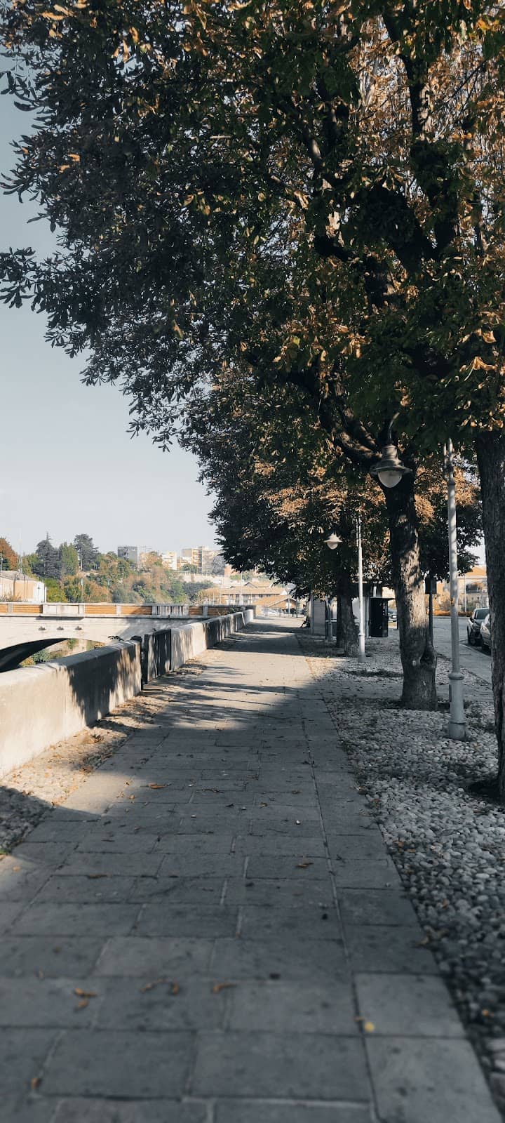 Saturday Market Buzz