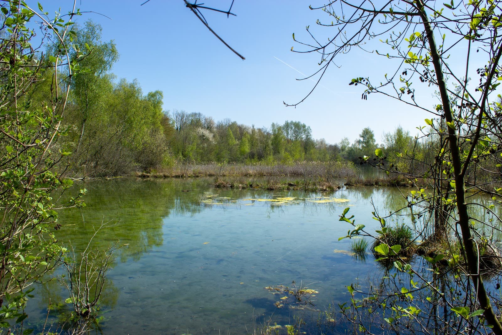 Étang Saint-Ladre Nature Reserve Boves - Image 1