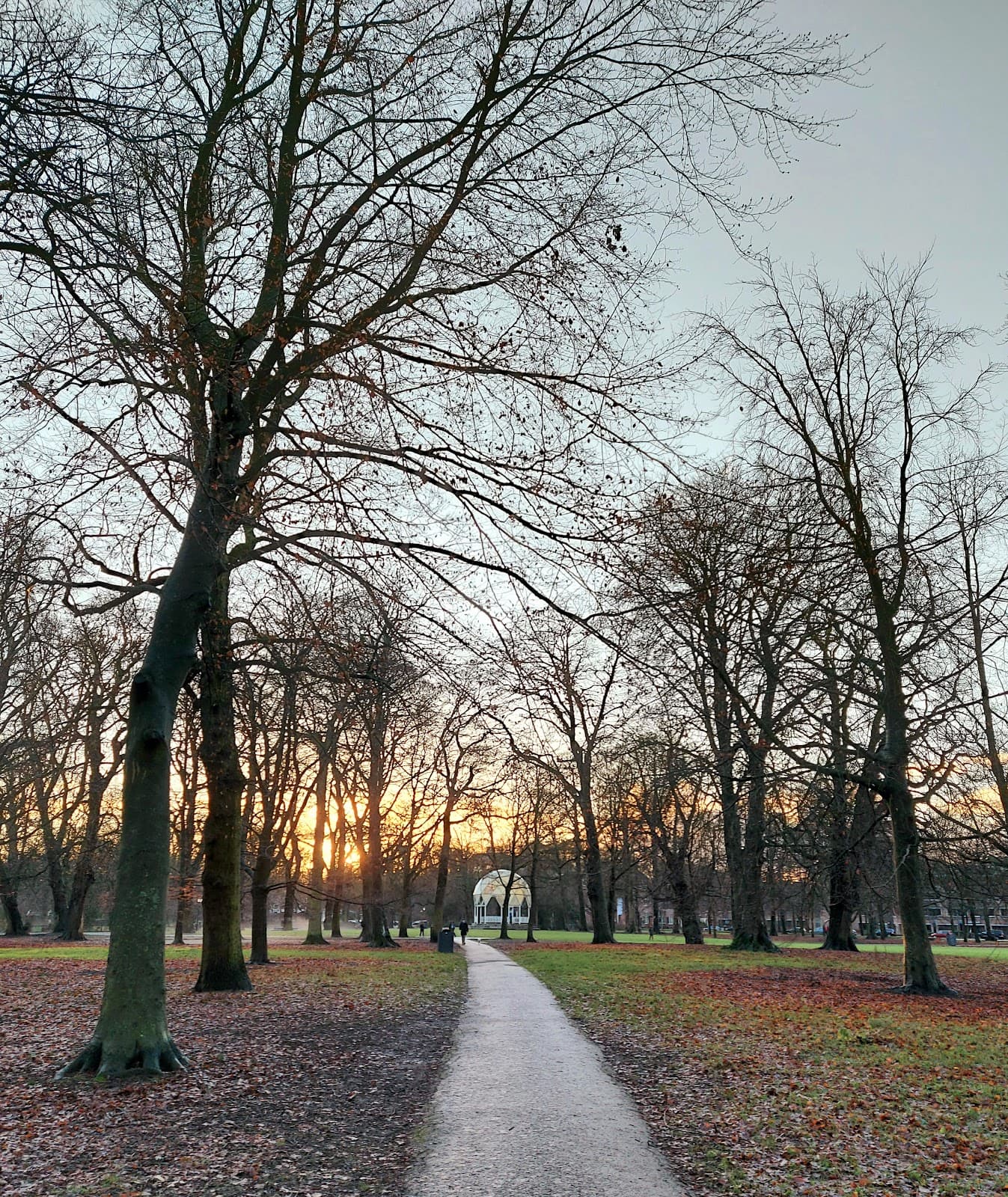 Haarlemmerhout Park Haarlem - Image 1