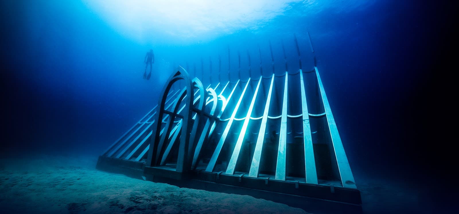 MOUA Coral Greenhouse - Image 1