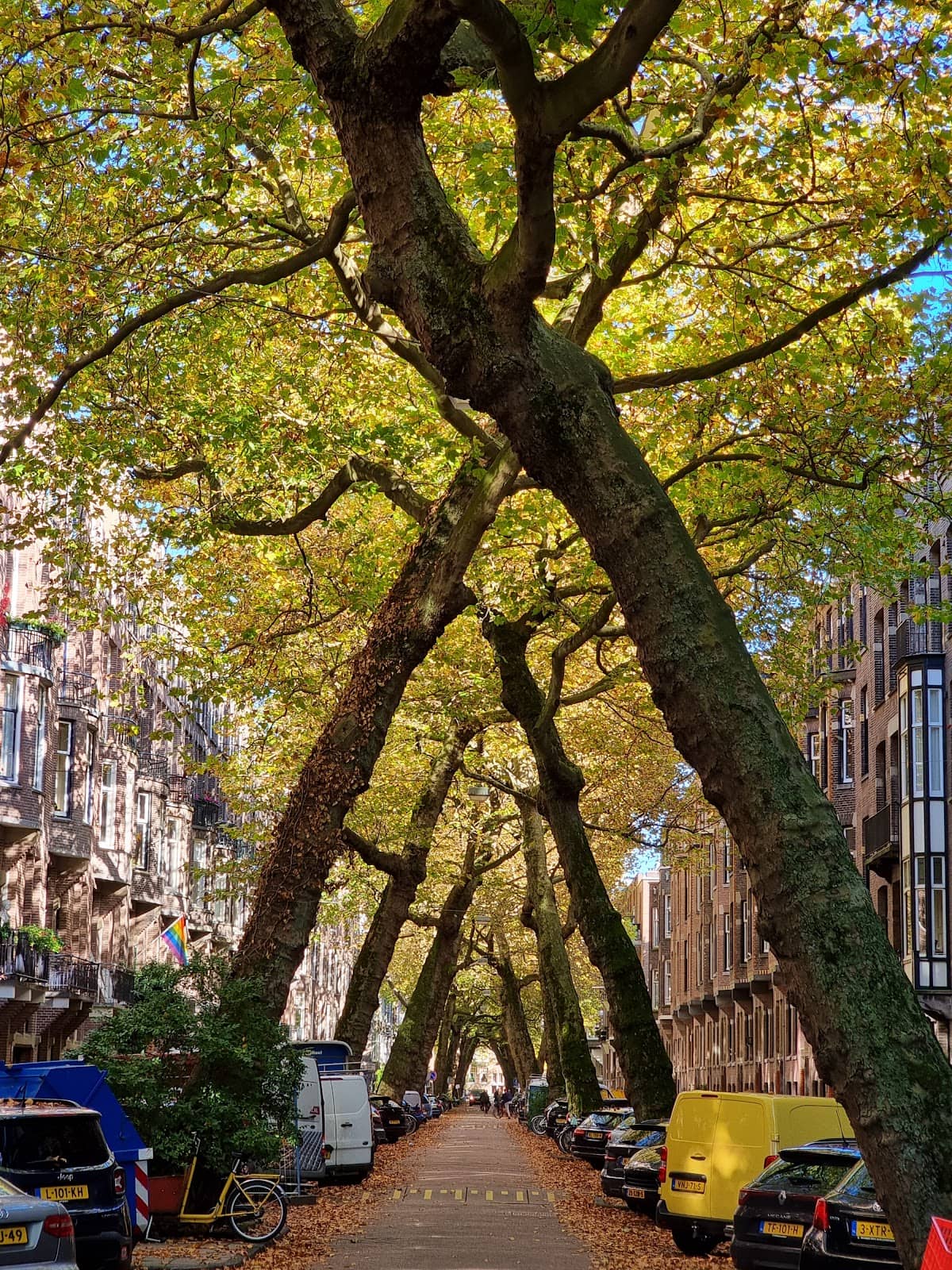 Photographer's Paradise