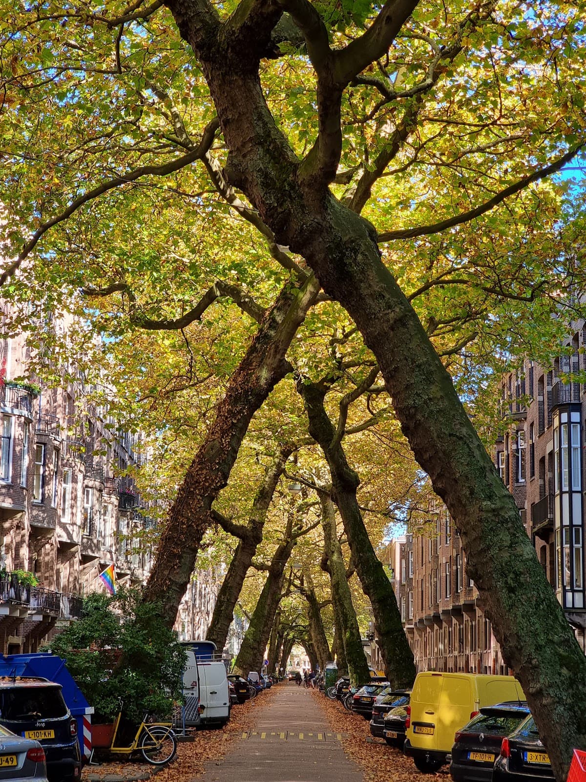 Lomanstraat - Image 1