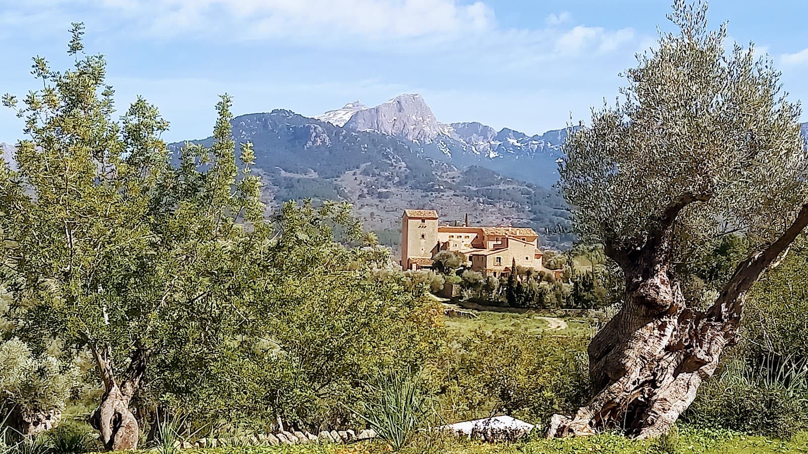 Camí de Castelló (Sóller–Deià trail) - Image 1