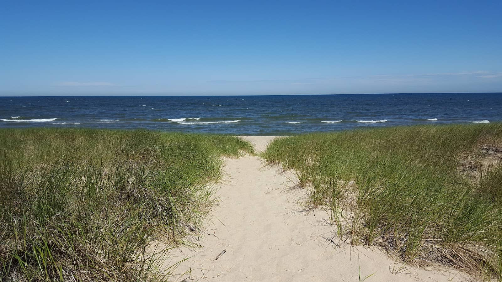 Family-Friendly Amenities