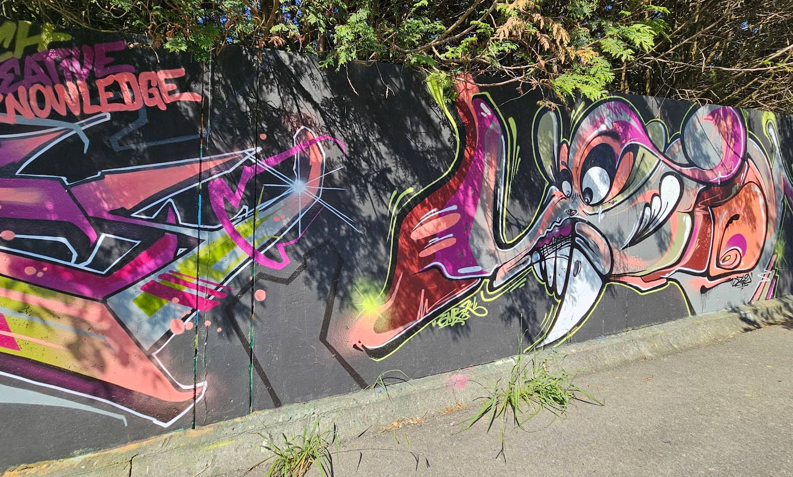 Urban Canvas Exploration