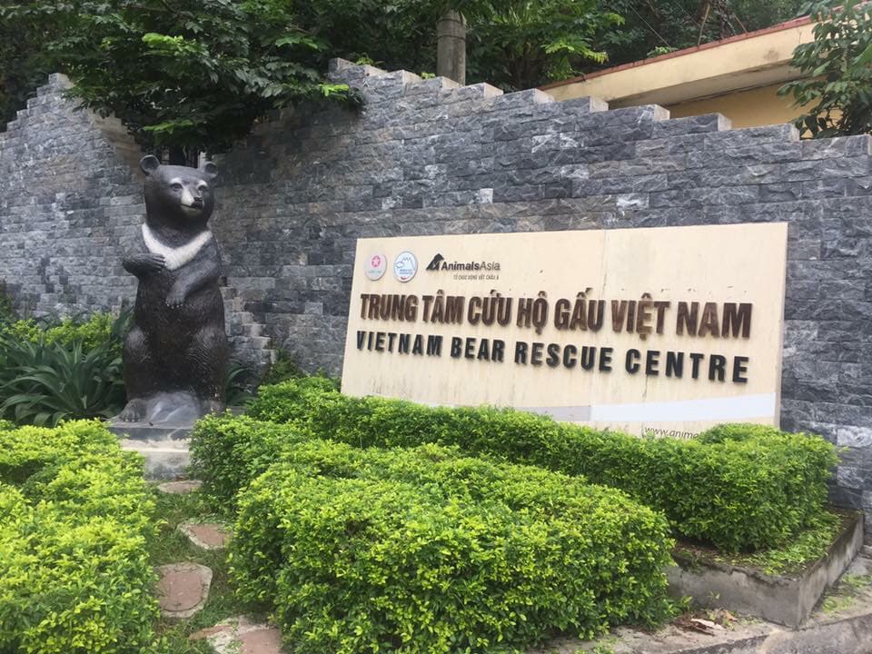 Vietnam Bear Rescue Centre - Image 1