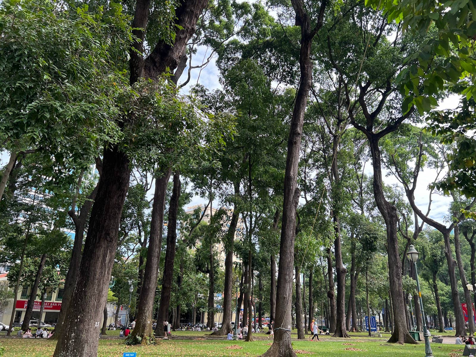 Relaxing Coffee Culture