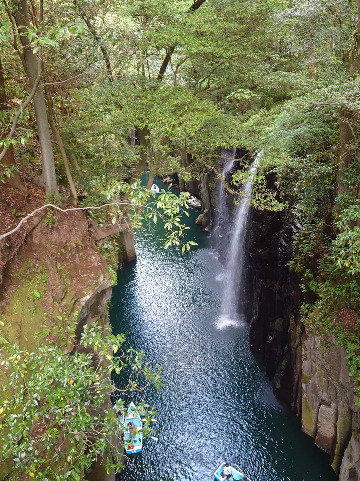 Vertical photo