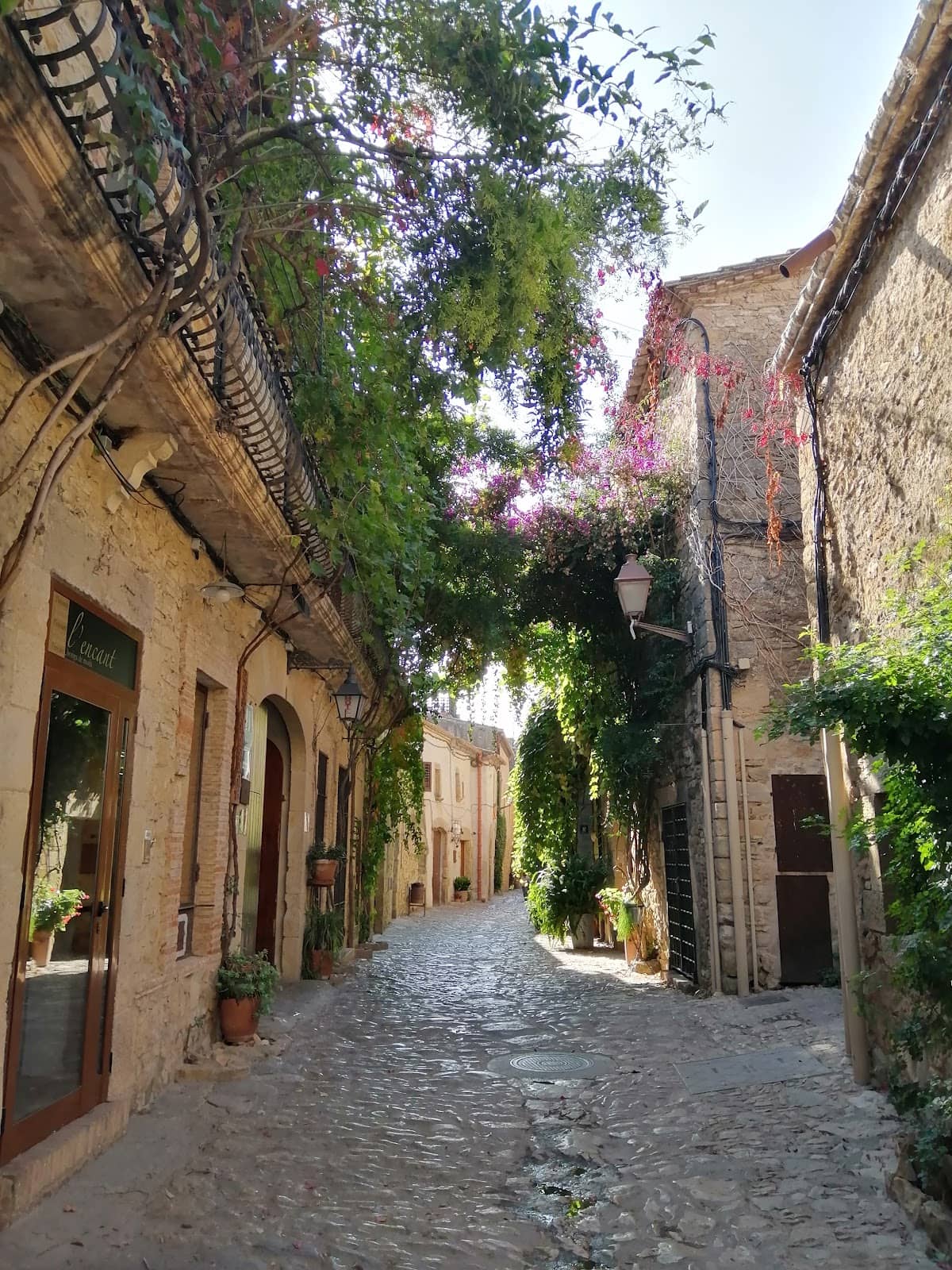 Plaza de les Voltes