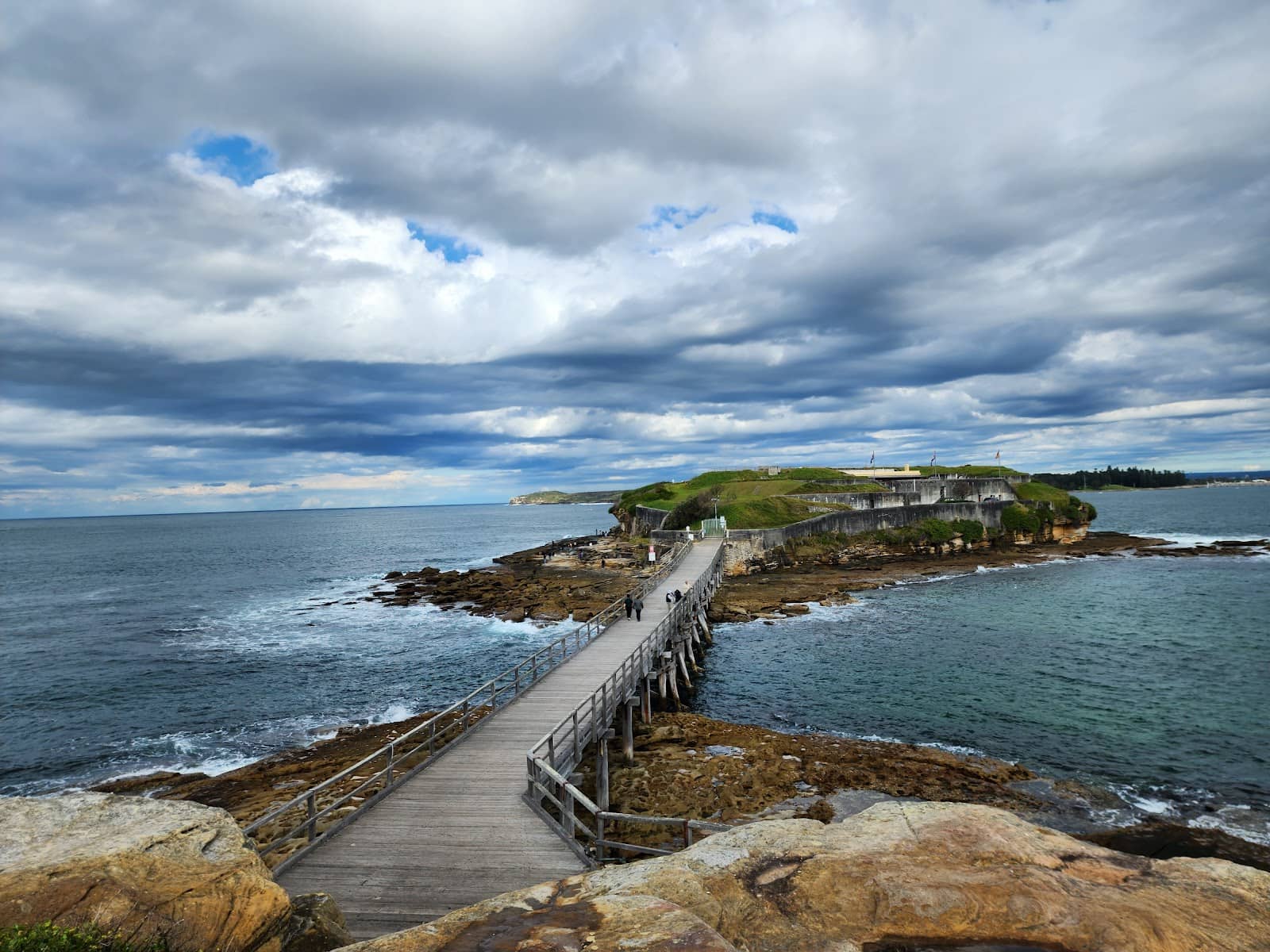 Snorkeling & Marine Life
