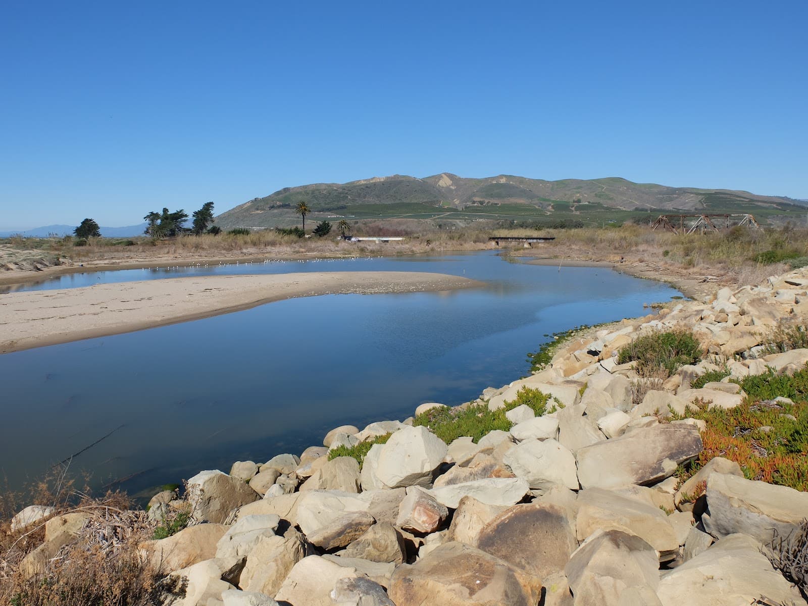 Ventura Harbor Wetlands Preserve - Image 1