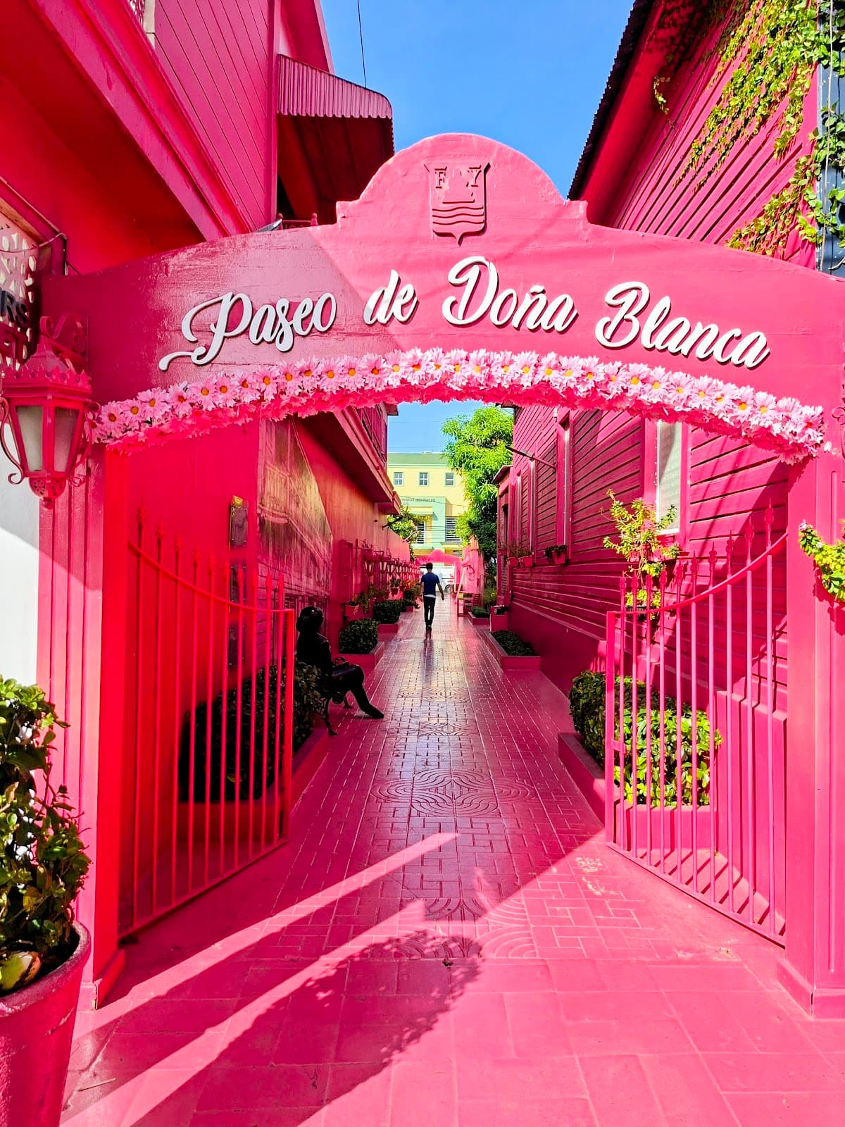 Paseo de Doña Blanca Pink Street - Image 1