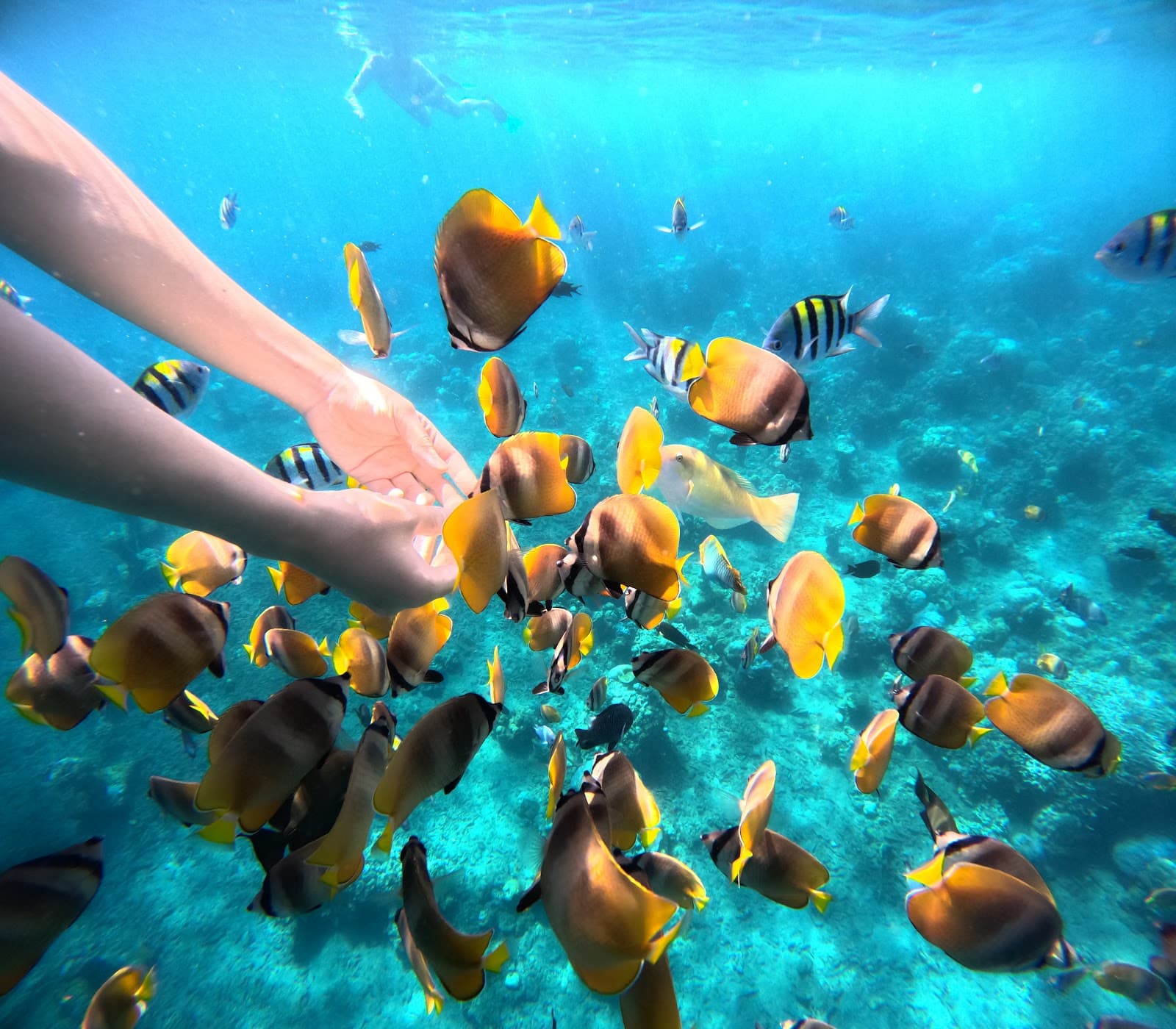 Jemeluk Bay Viewpoint - Image 1