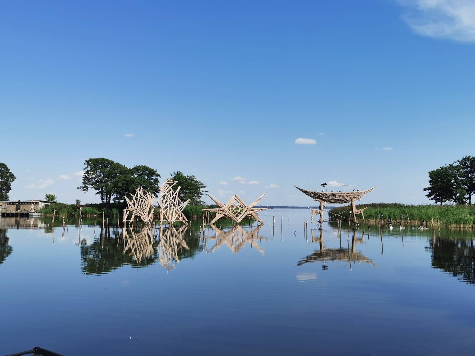 Ancient Woods of Neringa