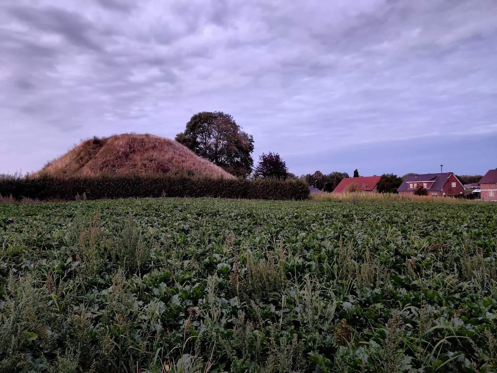 Nerem Tumulus - Image 1