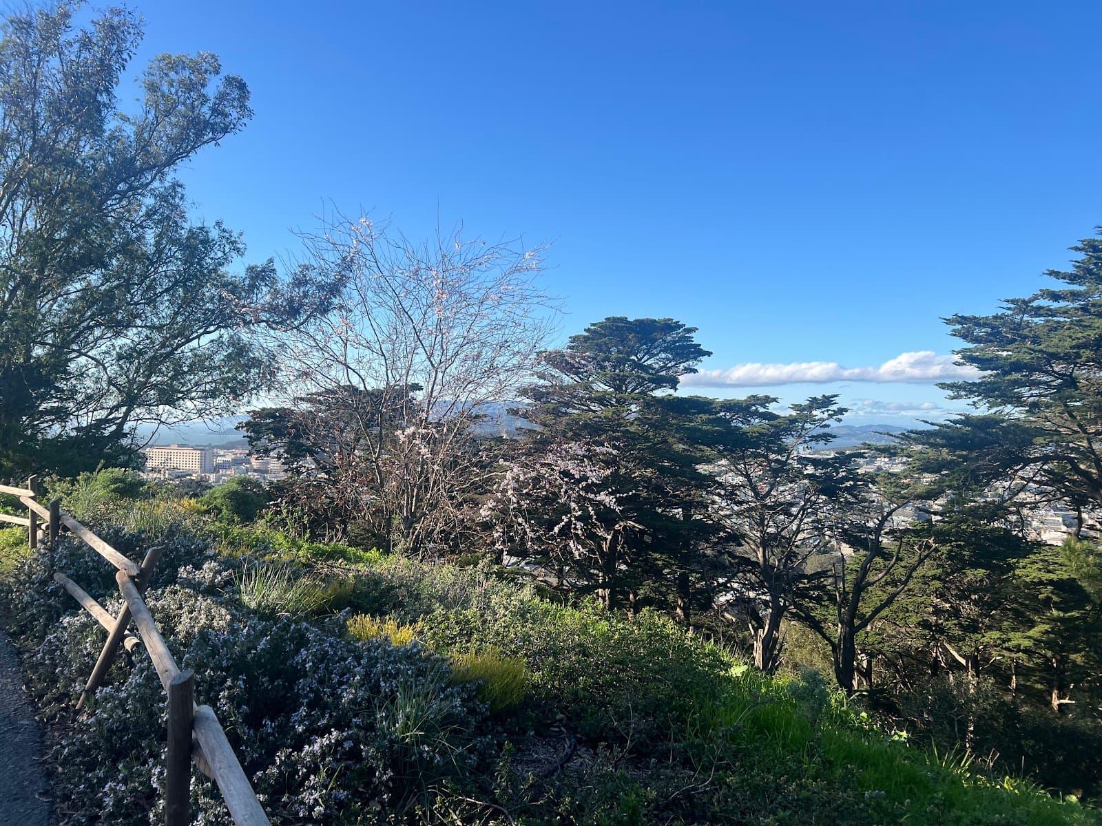 Upper Garden - Image 1