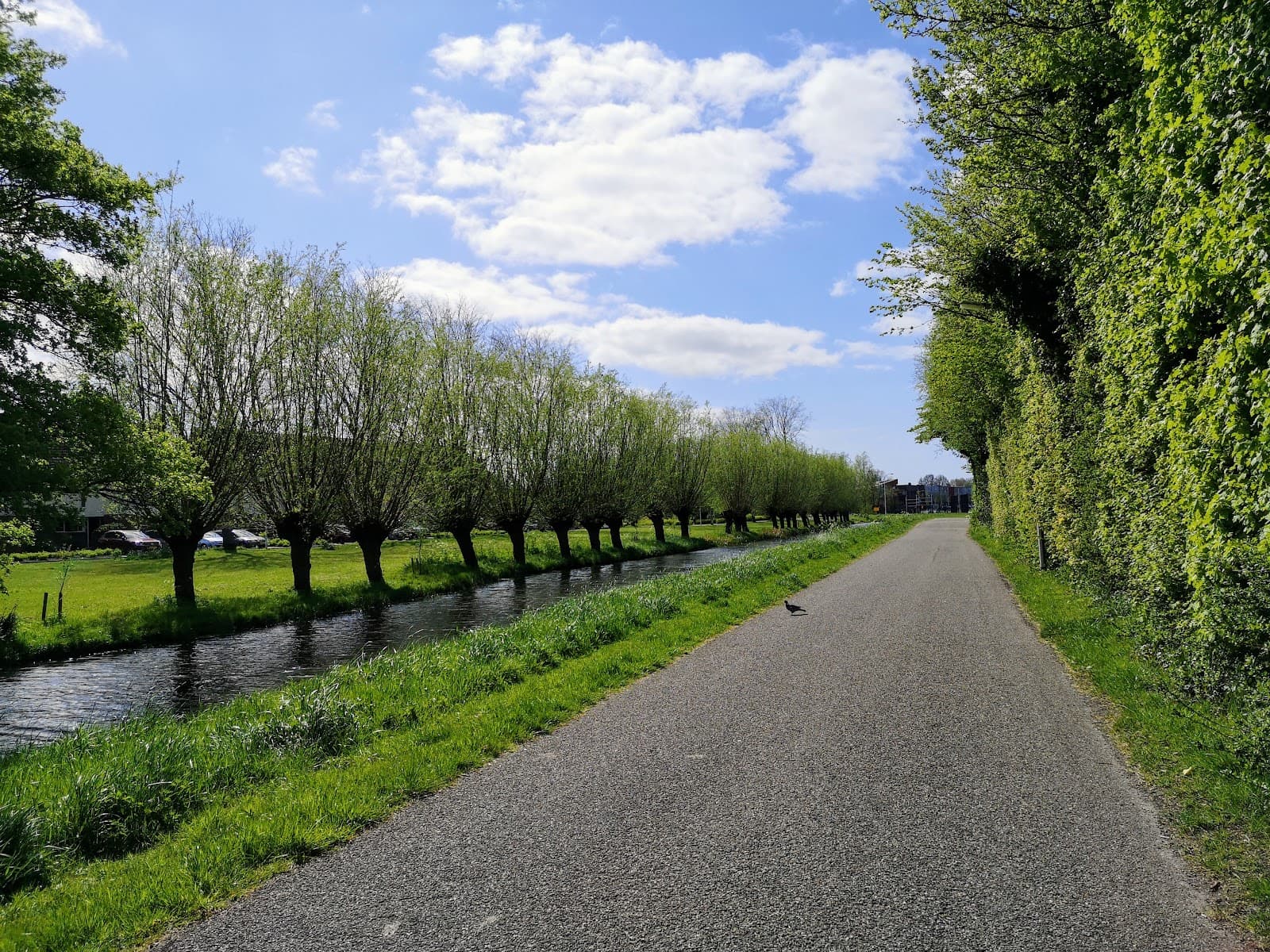 Tanthof Delft - Image 1