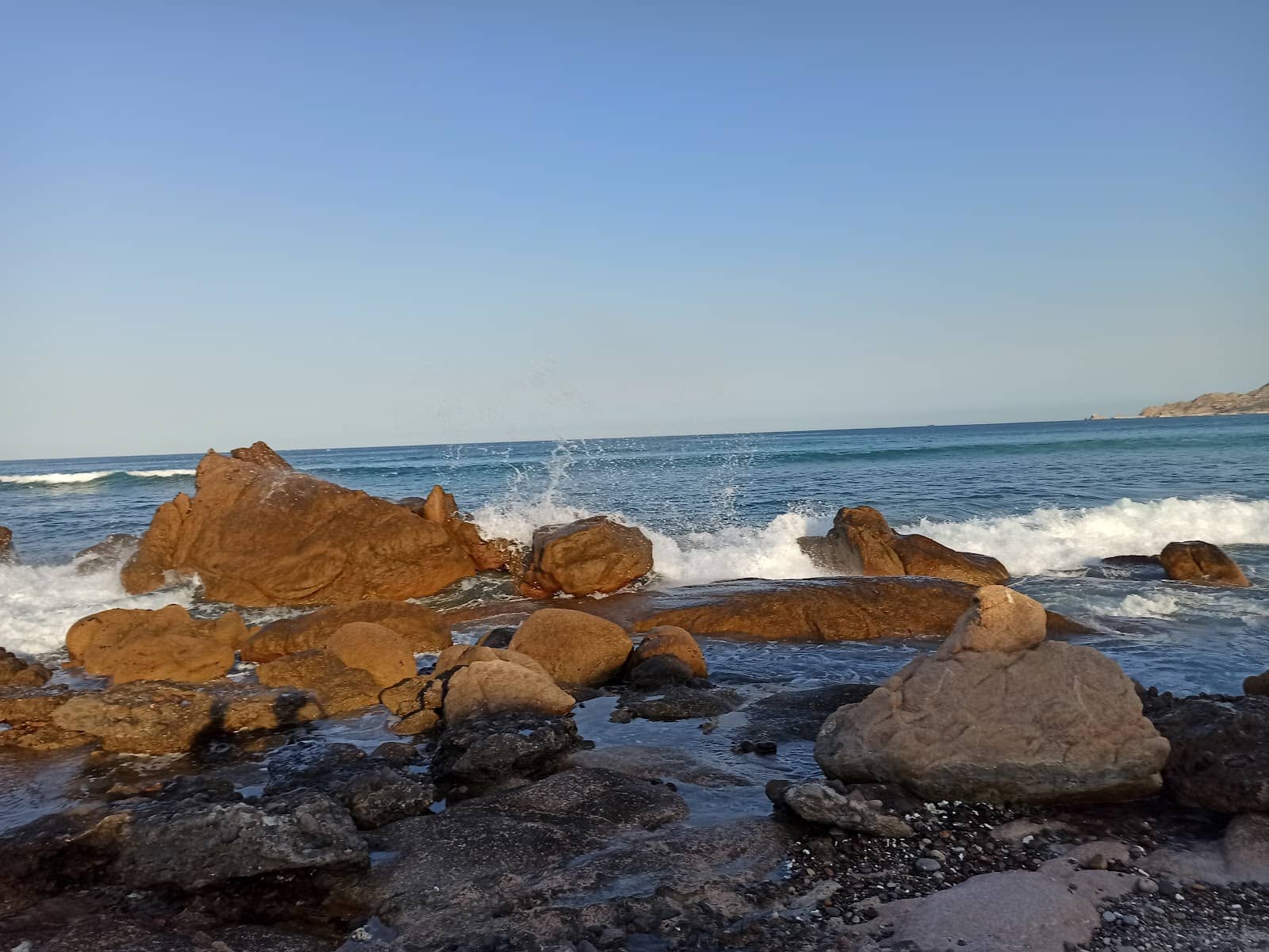 Bull Shark Encounters