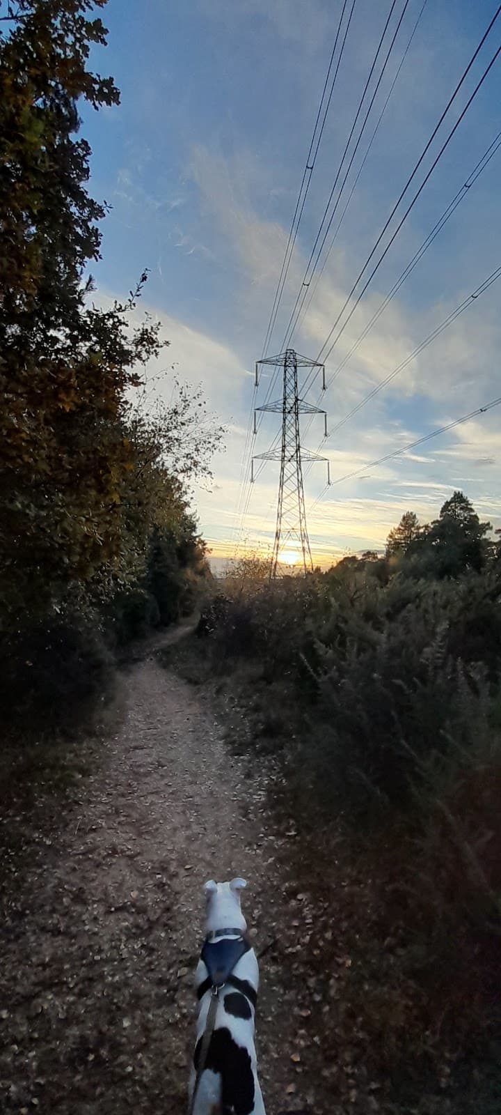 Edgbarrow Nature Reserve - Image 1