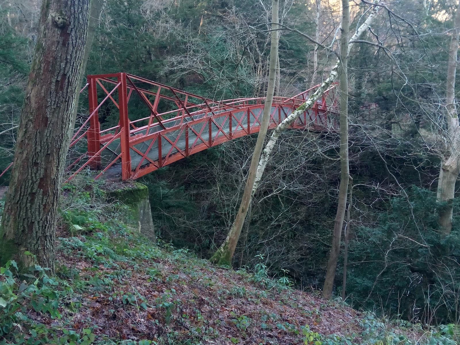 Ravenhead Local Nature Reserve - Image 1