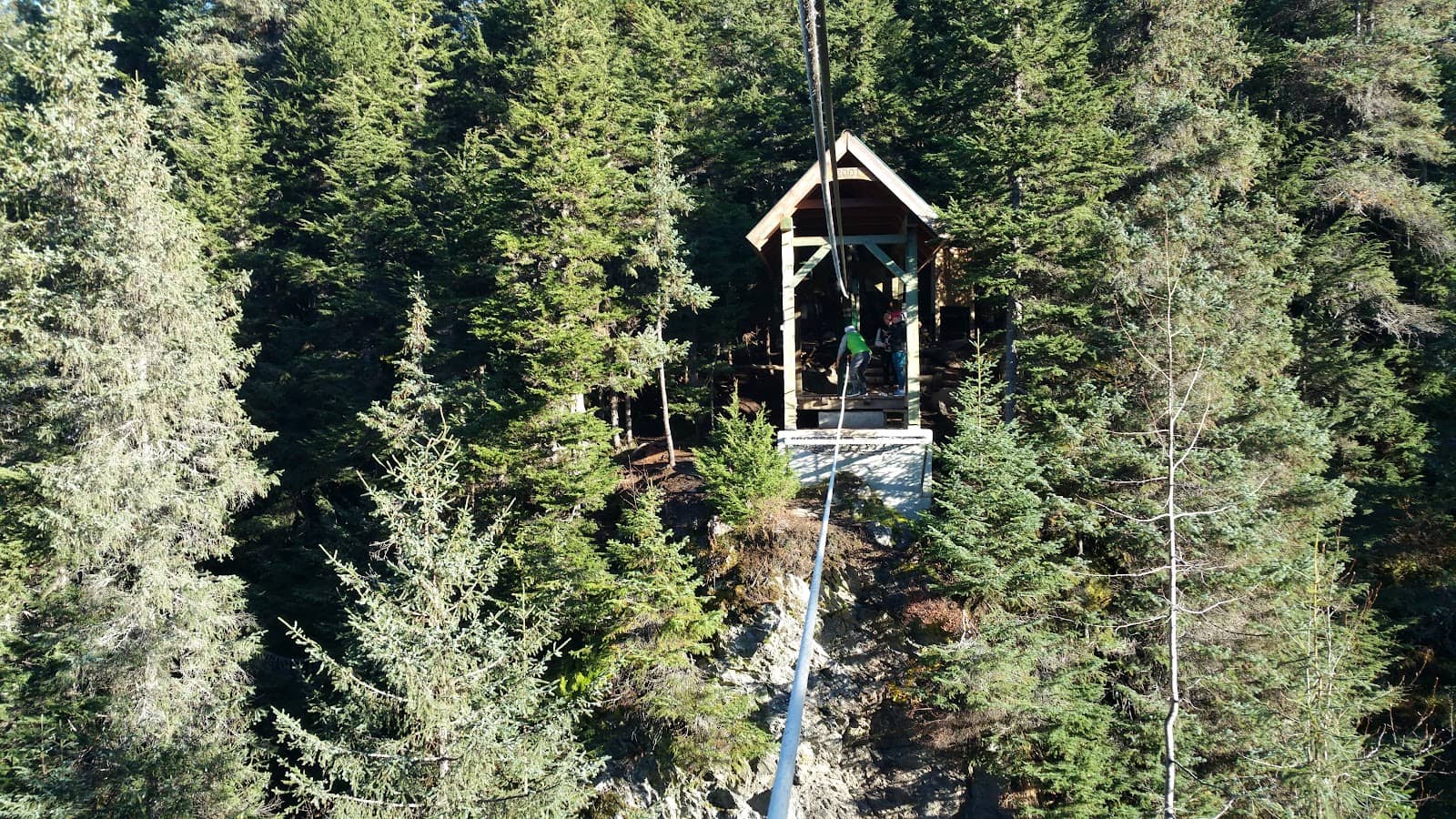 Vertical photo