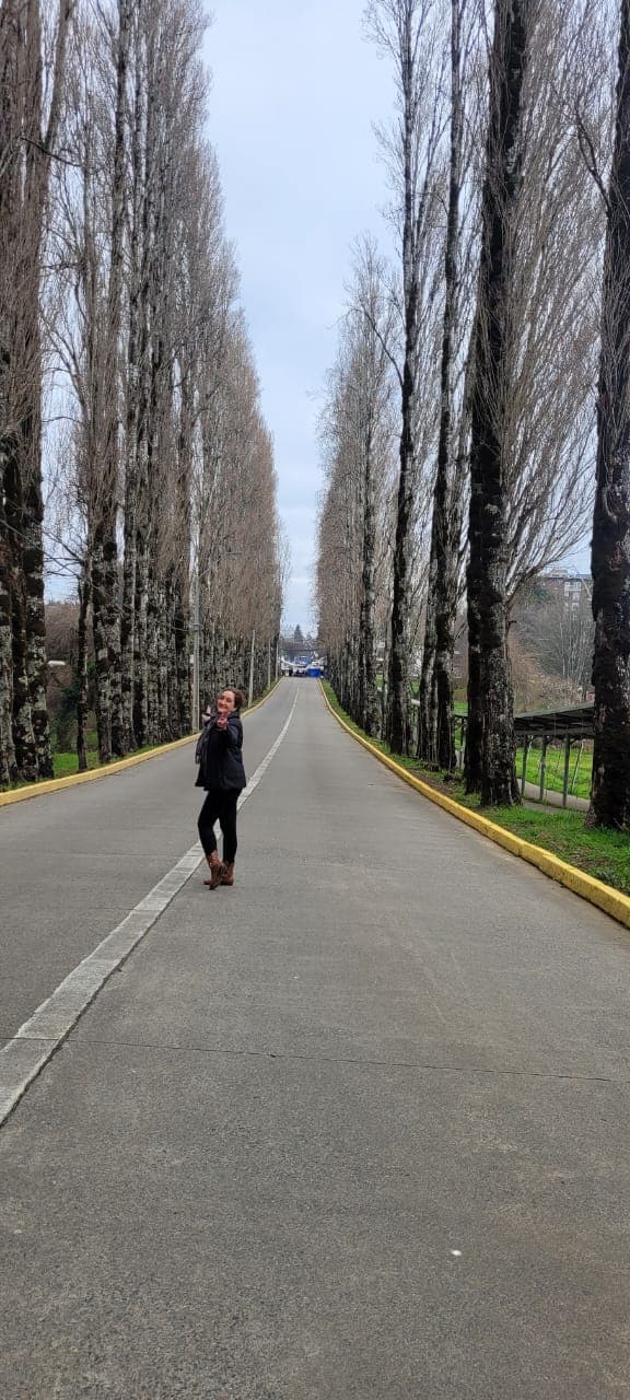 Universidad Austral de Chile Campus Isla Teja - Image 1