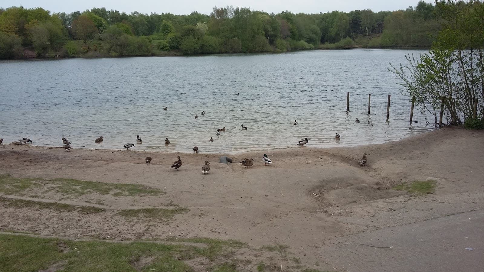 Brereton Heath Local Nature Reserve - Image 1