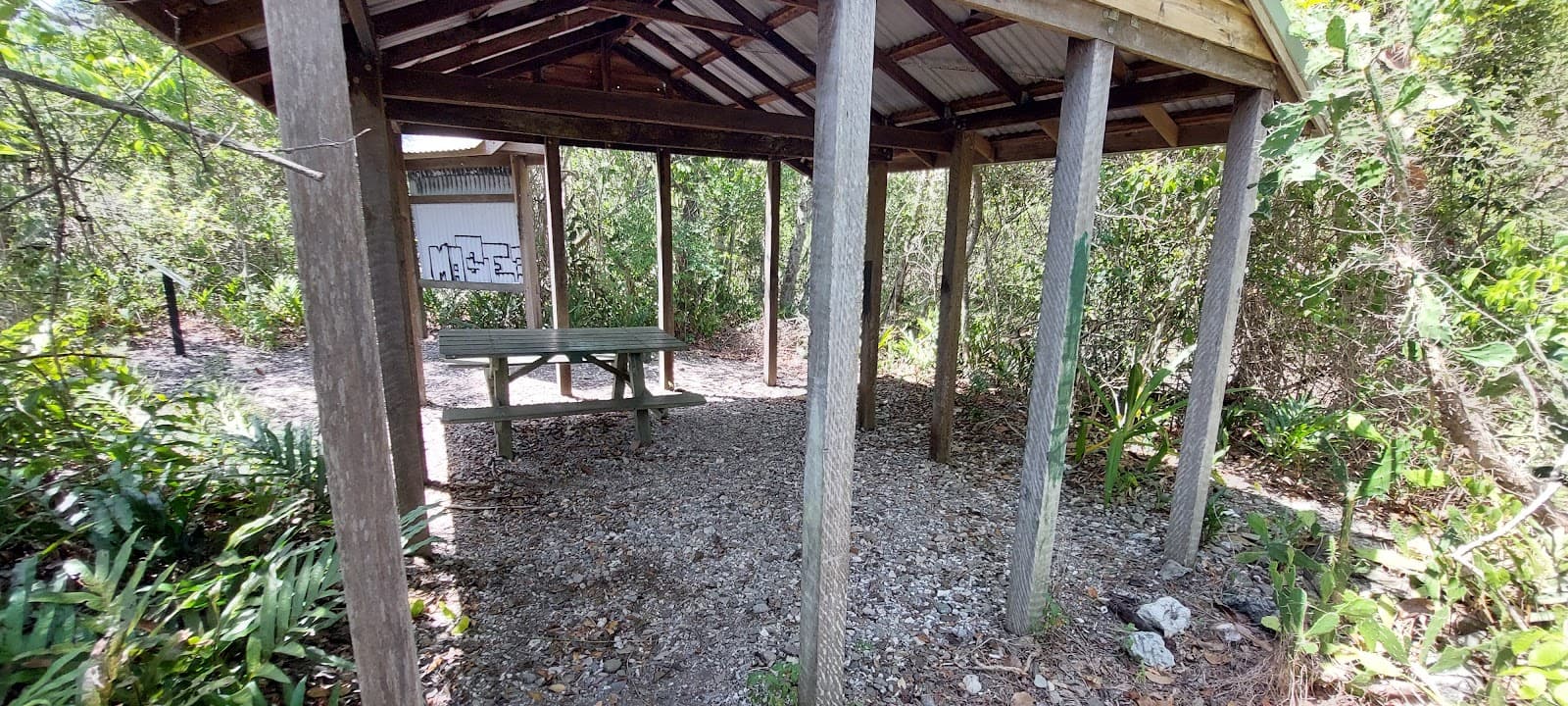 Swamp Bay Conway National Park - Image 1