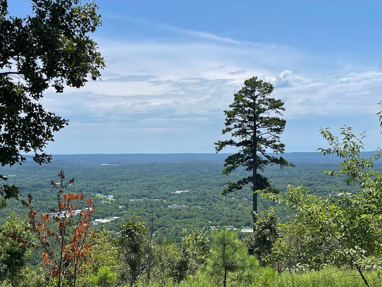 Summit Hike