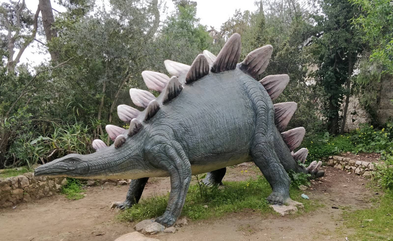 Hydroponic Garden & Koi Pond