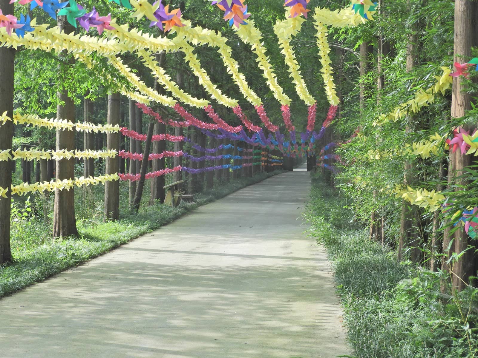 Shaded Cycling Paths