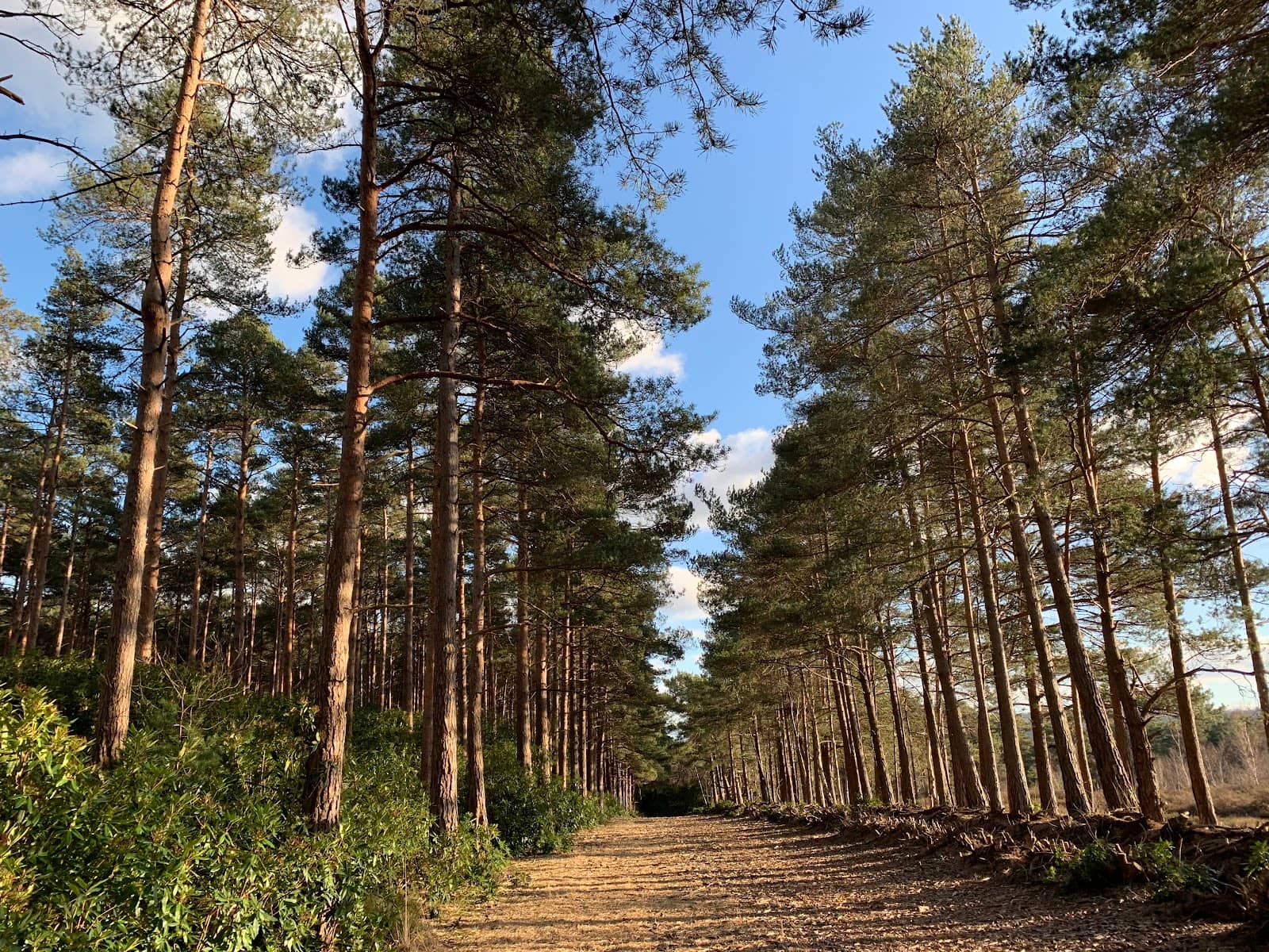 Circular Walking Routes