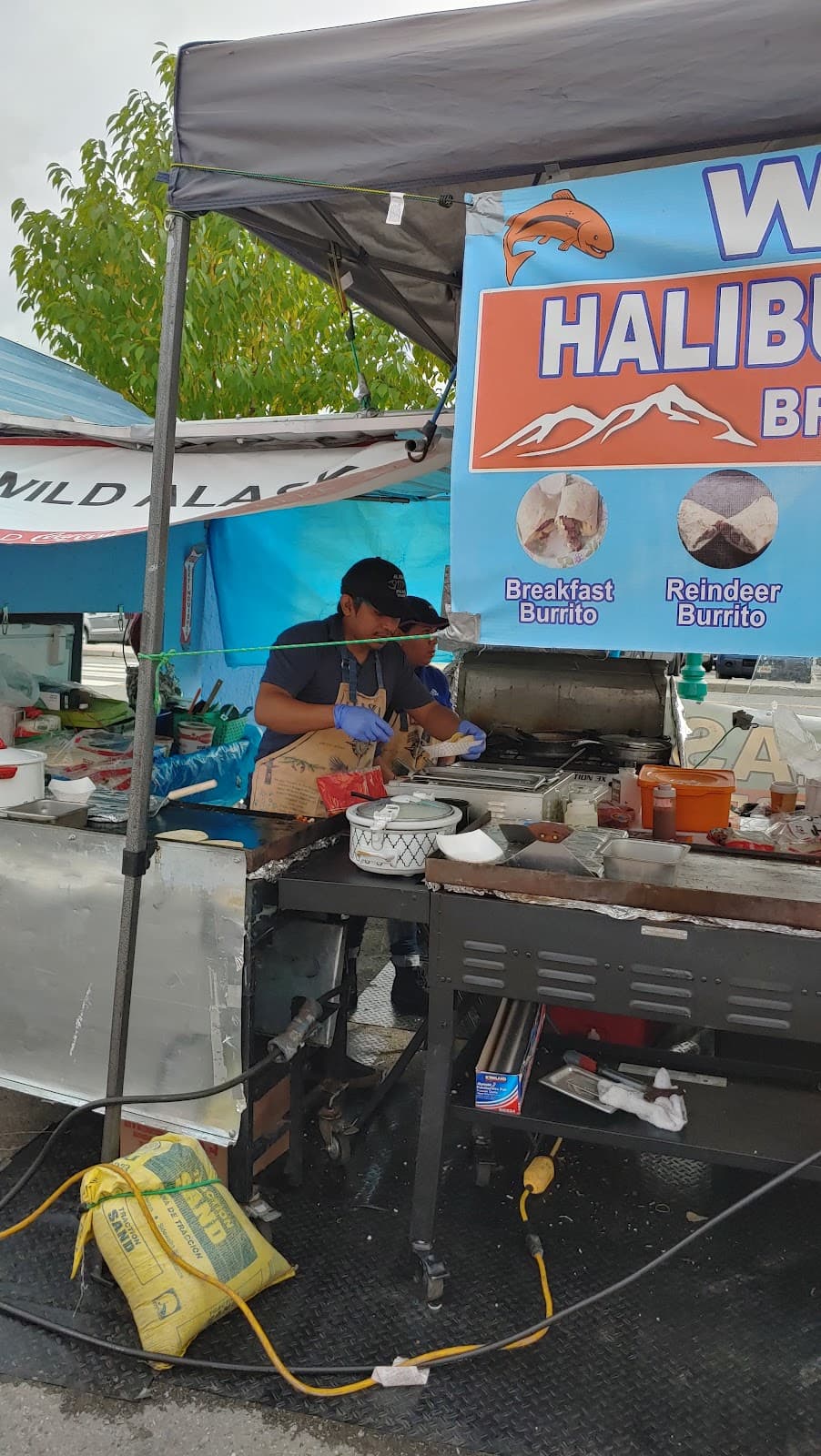 Anchorage Market & Festival - Image 1