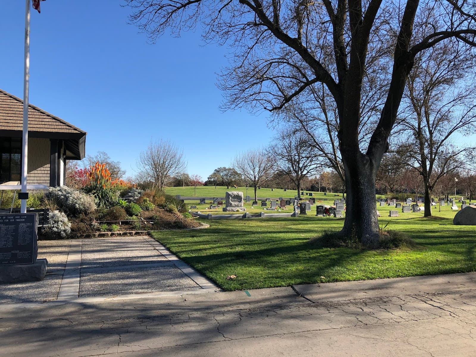 Davis Cemetery Arboretum - Image 1