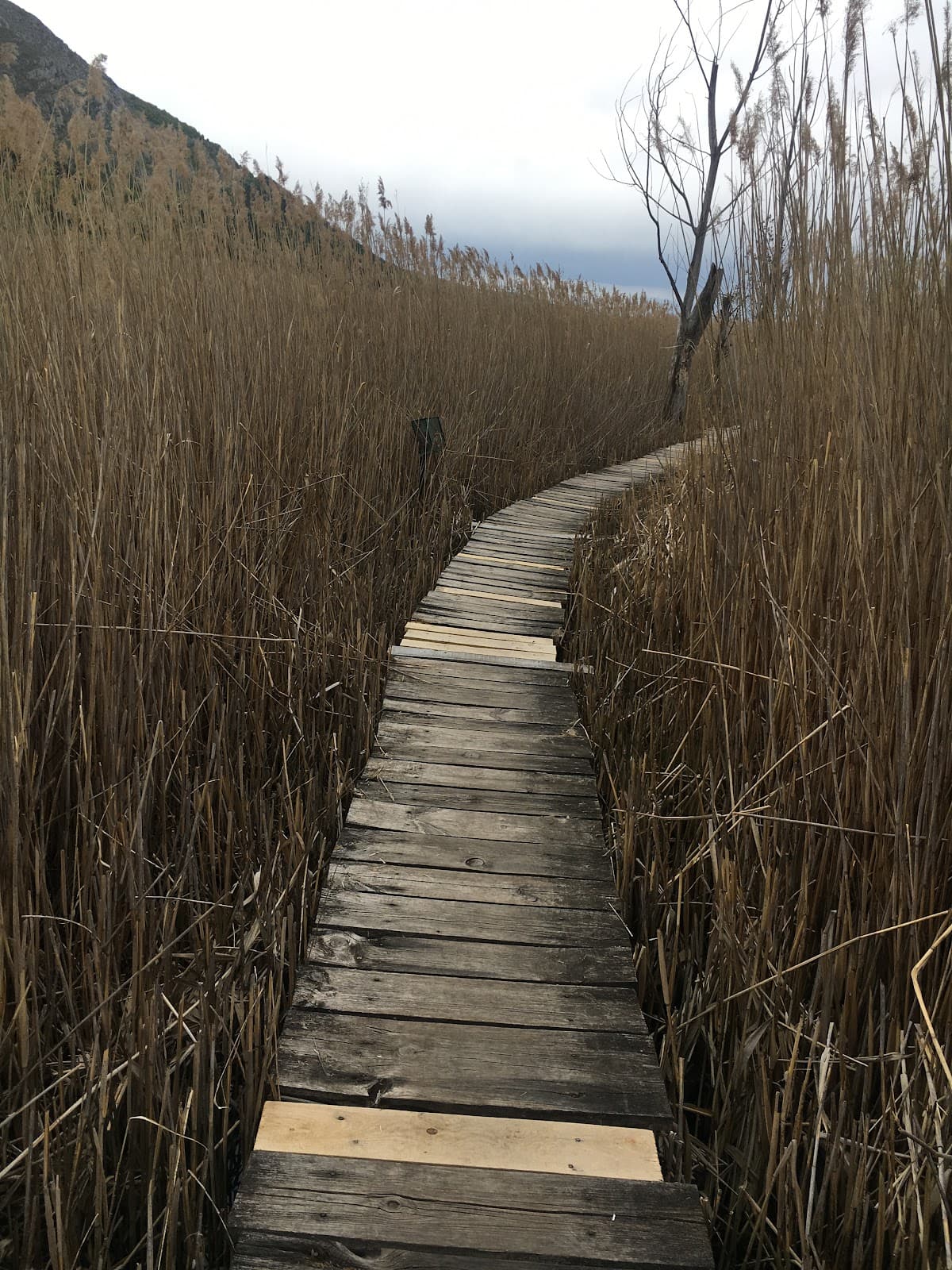 Dragoman Marsh & Karst - Image 1